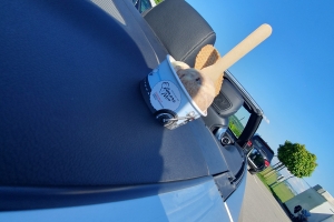 2024-05 - Cruising 